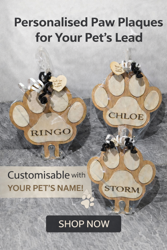 Personalised Paw Plaque Lead Holder for Dogs