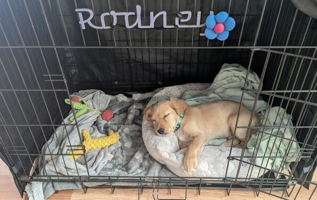 Personalised Pet Crate Sign